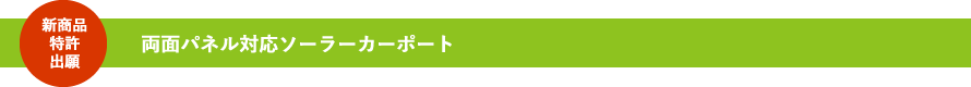 両面パネル対応ソーラーカーポート