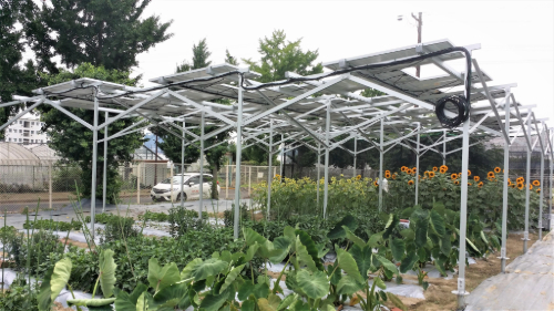 新着情報